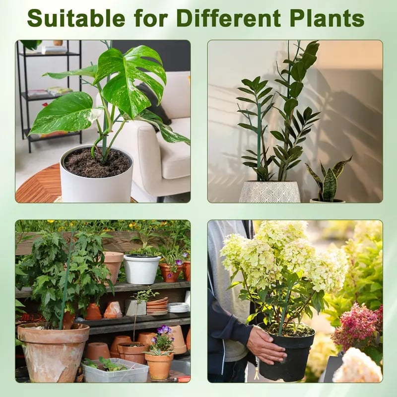 ⏰LAST DAY SALE 50% OFF💥5 pack Plant Support Stakes⚡Buy 2 Free Shipping
