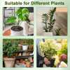 ⏰LAST DAY SALE 50% OFF💥5 pack Plant Support Stakes⚡Buy 2 Free Shipping