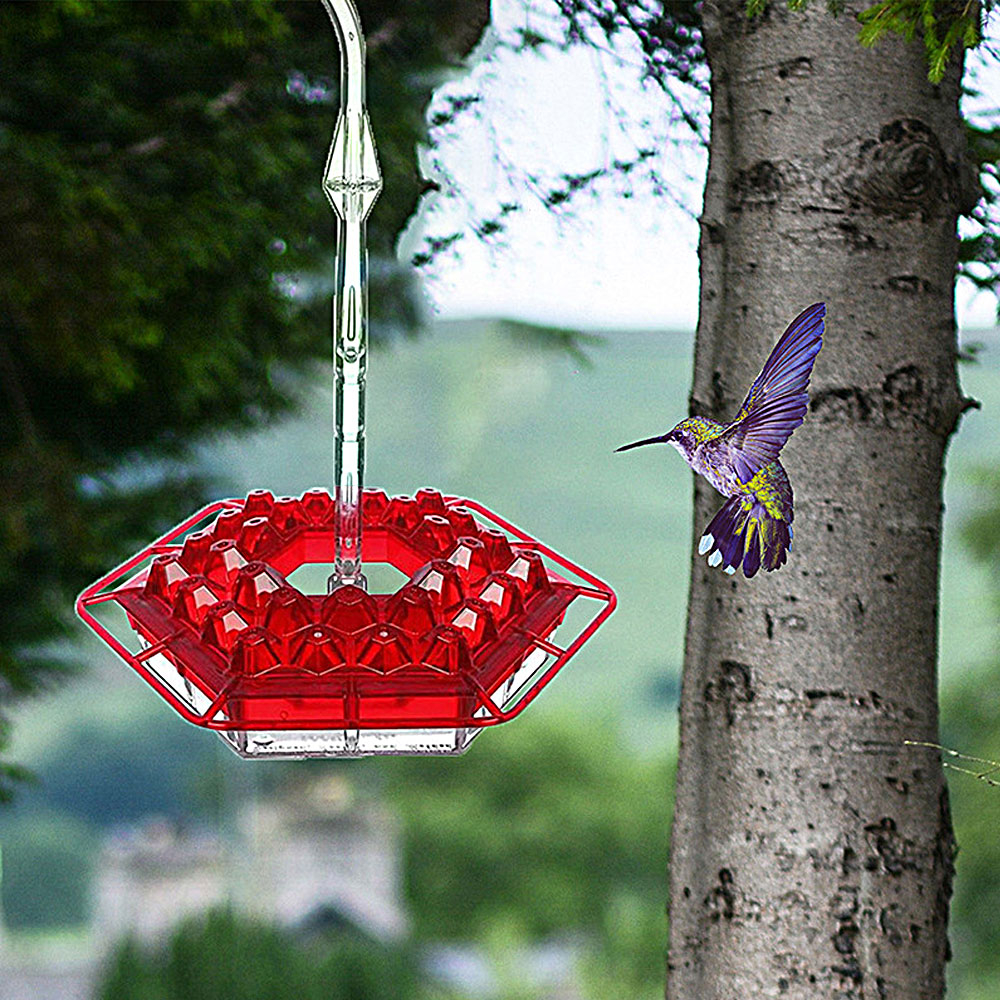 (🔥HOT SALE - 49% OFF)Mary's Hummingbird Feeder With Perch And Built-in Ant Moat - Buy 2 Free shipping