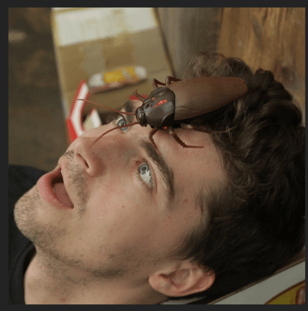 Infrared Remote Control Creepy Cockroach Prank Toy