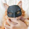 🔥Bat Cat Avenger Mask