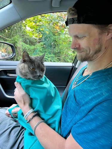 🔥Last Day Promotion 50% OFF🔥Cat Carrier Pouch⚡BUY 1 GET 1 FREE