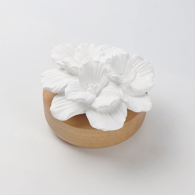 Car home aroma diffuser stone and wood base, succulent gypsum perfume essential oil evaporation decorative item