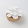 Car home aroma diffuser stone and wood base, succulent gypsum perfume essential oil evaporation decorative item