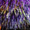 🔥Last Day Promotion 70% OFF - UV Resistant Lifelike Wisteria Hanging Flowers