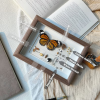 Diy Framed Butterfly Decoration Kit