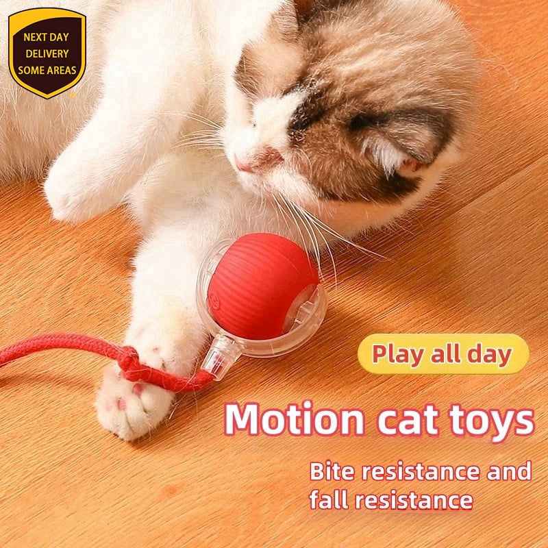 🐱🐶2024 Automatic LED Interactive Pet Toys Ball