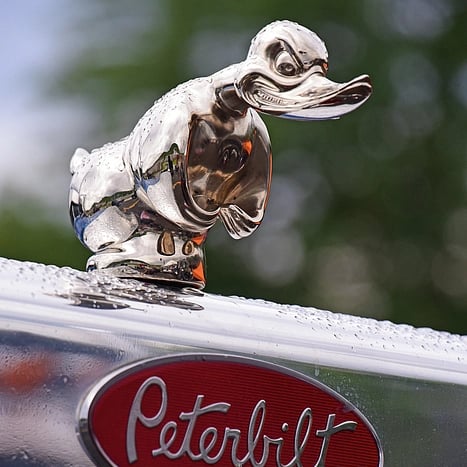 🎉LAST DAY -70%OFF - 🔥Angry  Duck Hood Ornament Death Proof⚡Buy 2 Get Free Shipping