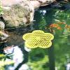 🎁TikTok Last Day Sale - 70% OFF🎉Floating Bee Watering Station🐝