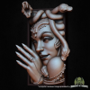 🔥Last Day Save 49% - 🐍Medusa Book Nook