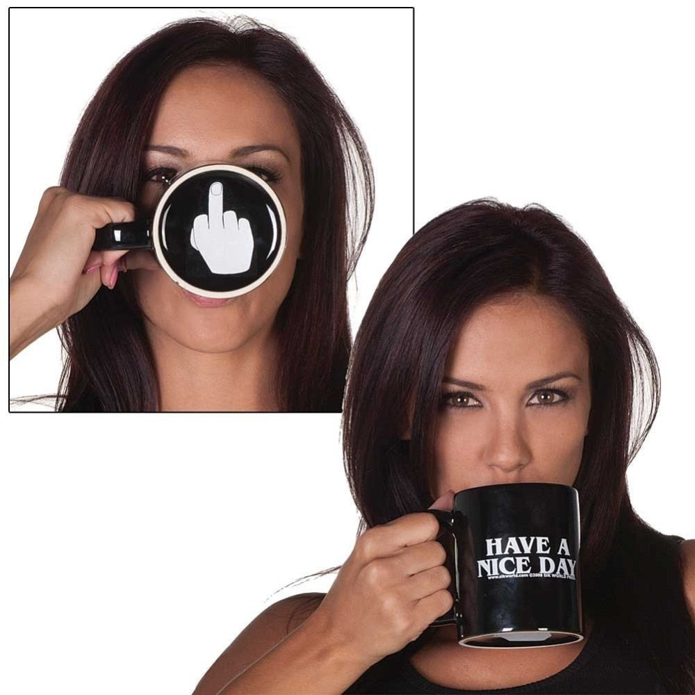 🎅Christmas sale 48% discount -🔥-Have a Nice Day Middle Finger Funny Cup