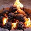 🎃2024 Halloween Hot Sale 🔥 Ceramic Fireproof Fire Pit Skull 💀