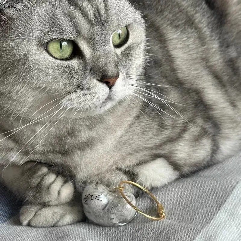 Pet Fur Memory Capsule Keychain