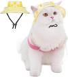 🌲Early Christmas Sale 50% Off😻Pet Summer Funnel Ear Fisherman's Hat, Buy 4 Get Extra 30% OFF & Free Shipping