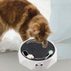 🌲Early Christmas Sale 50% OFF😻Cat interactive mouse box toy