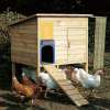 (🎉Flash Sale🎉- 40% OFF)-Automatic Chicken House Door