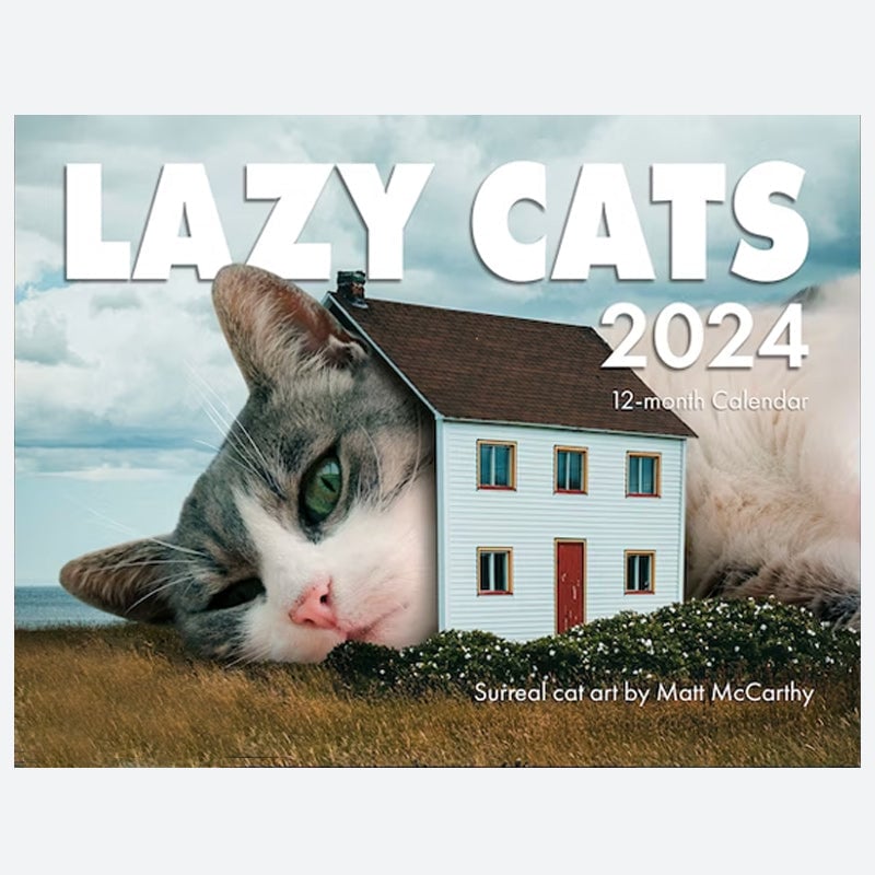 (🌲Christmas Sale- 50% OFF) LAZY CAT CALENDAR 2024, Cat Wall Calendar, Original Cat Art