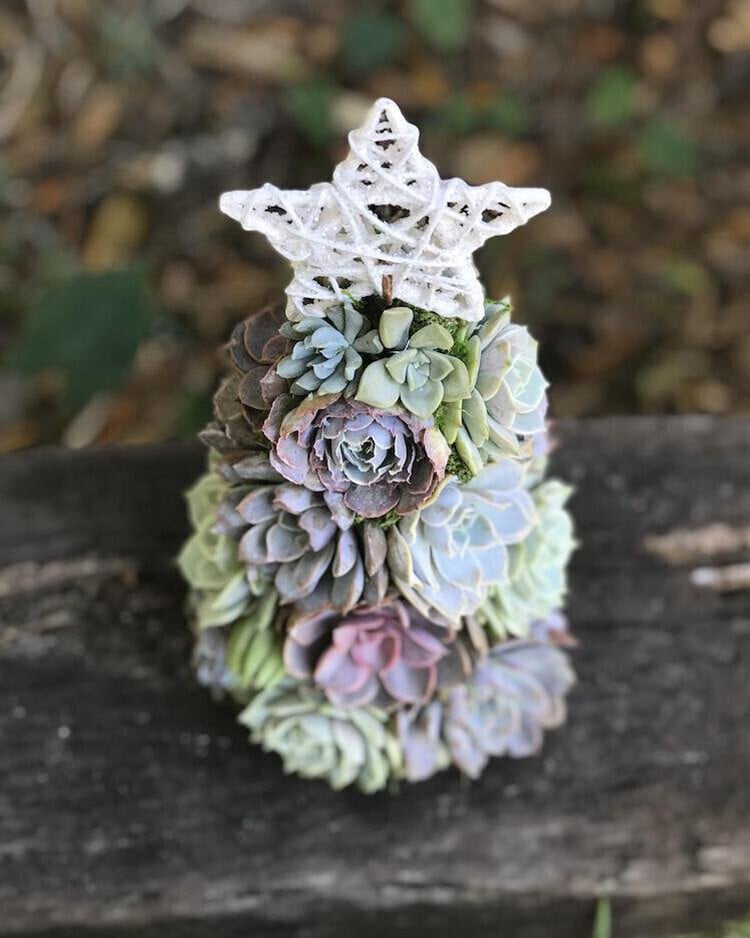 (🌲Early Christmas Sale- 50% OFF) 🎄Succulent Art Tree - Buy 2 Free Shipping