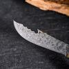 Meteorite Damascus Collectible Knife