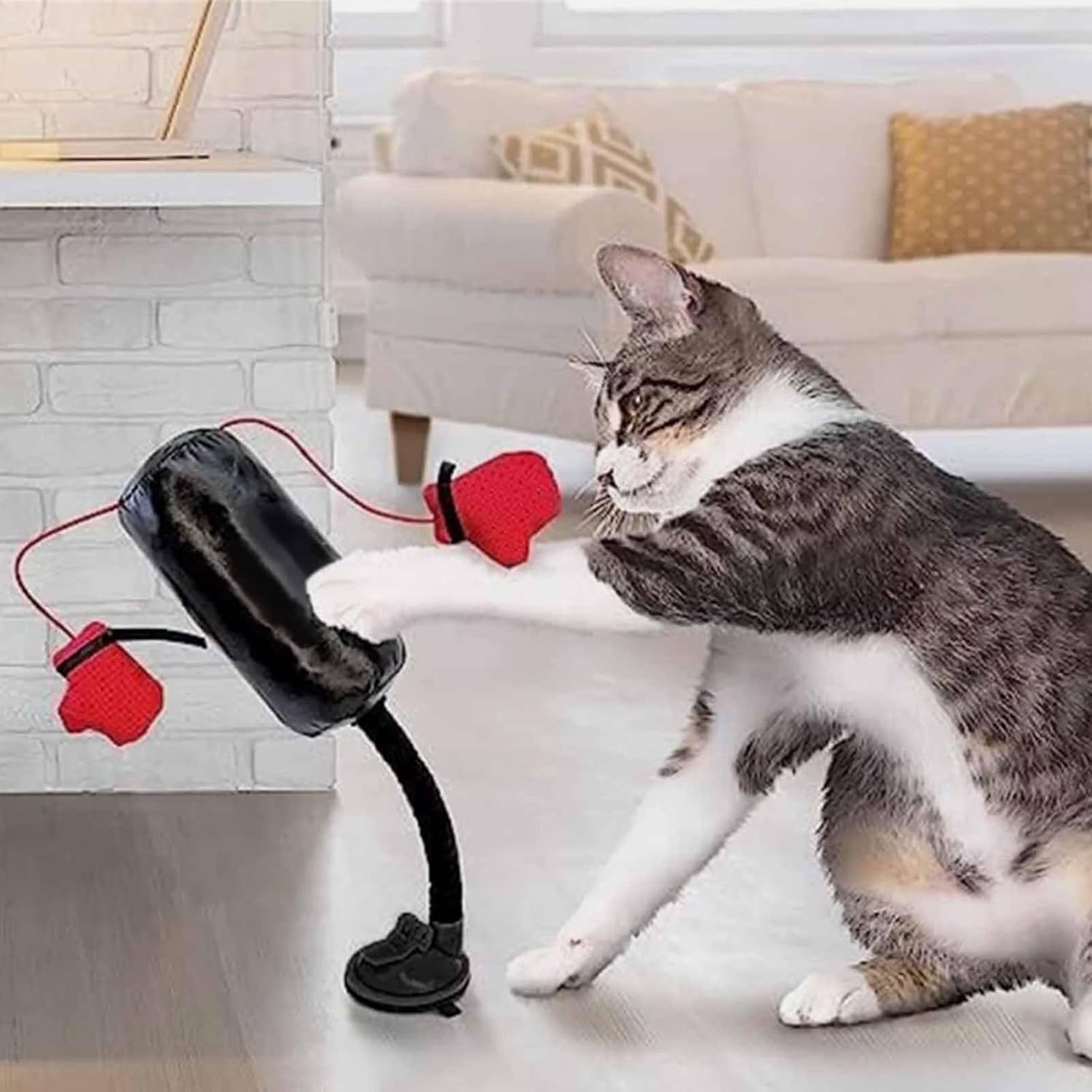 🔥Last Day Promotion 70% OFF🥊Cat Boxing Toy⚡️Buy 2 Free Shipping