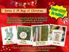 🎁TikTok Last Day Sale - 70% OFF🎉Stardew Valley Advent Calendar