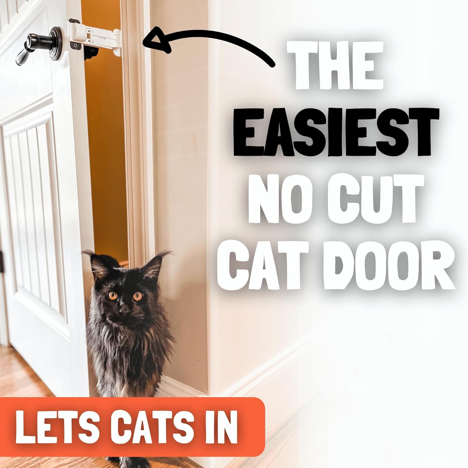 💥LAST DAY SALE 50% OFF💥Cat Door Prop