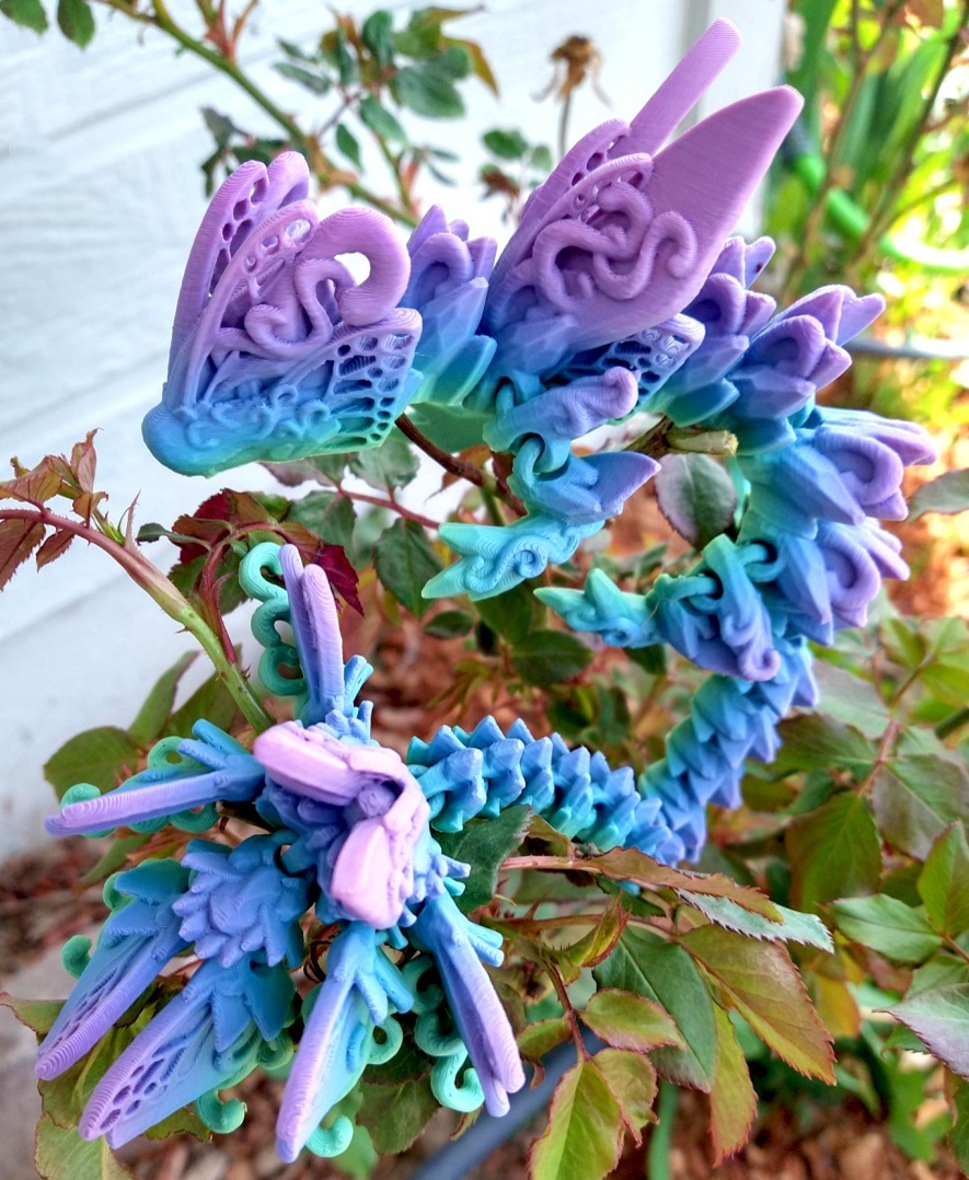 🦋Butterfly Dragon