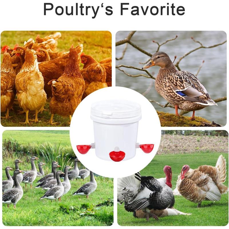 🔥Last Day Promotion 50% OFF - 🐔Fully Automatic Chicken Waterer