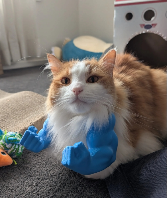 💥3D Printed Spoof Cat Hanging Neck Muscle Arm