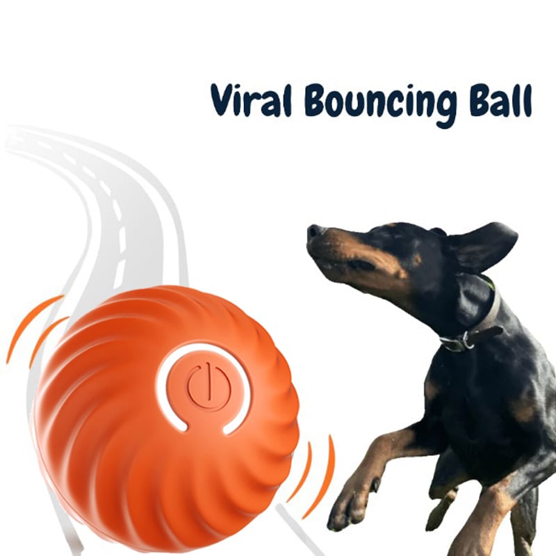 🎄Christmas Promotion-48% OFF🎁Viral Bouncing Ball