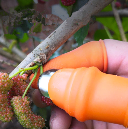 (🔥Last Day Promotion- SAVE 48% OFF)Harvesting Thumb Knife--buy 5 get 5 free & free shipping（10pcs）