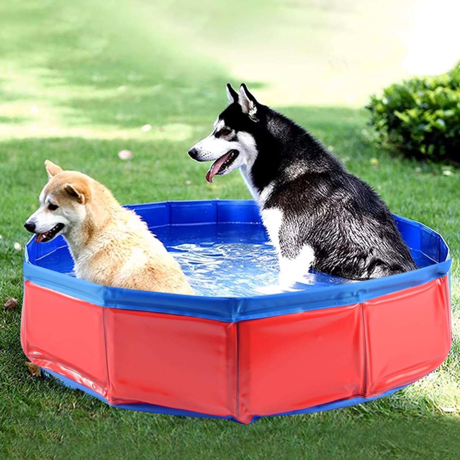 Hundepool für Hunde, Haustiere Planschbecken, Hund Schwimmbecken Tragbare, Faltbarer Swimmingpool mit Ablassventil, Hundebadewanne, Pool Badewanne Wasserbecken, Haustier-Duschbecken, Hunde Pool 50x8cm