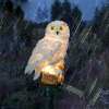 Solar Owl Garden Decorative Landscape Light