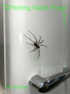 Last Day 70% OFF🔥Realistic Giant House Spider Fridge Magnet