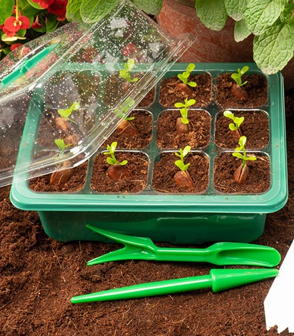 🎁TikTok Last Day Sale - 70% OFF🎉Adjustable Humidity Seed Starter Trays