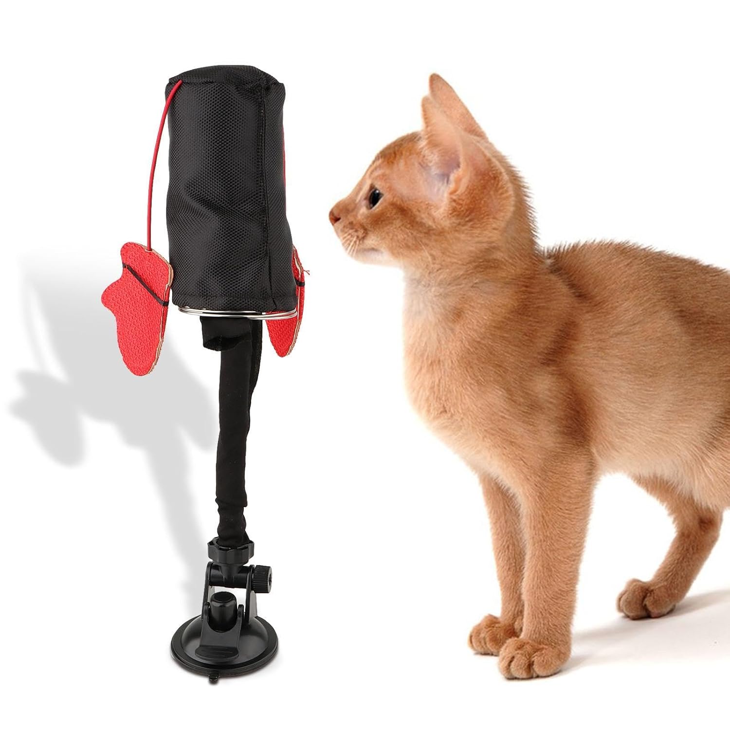 🔥Last Day Promotion 70% OFF🥊Cat Boxing Toy⚡️Buy 2 Free Shipping
