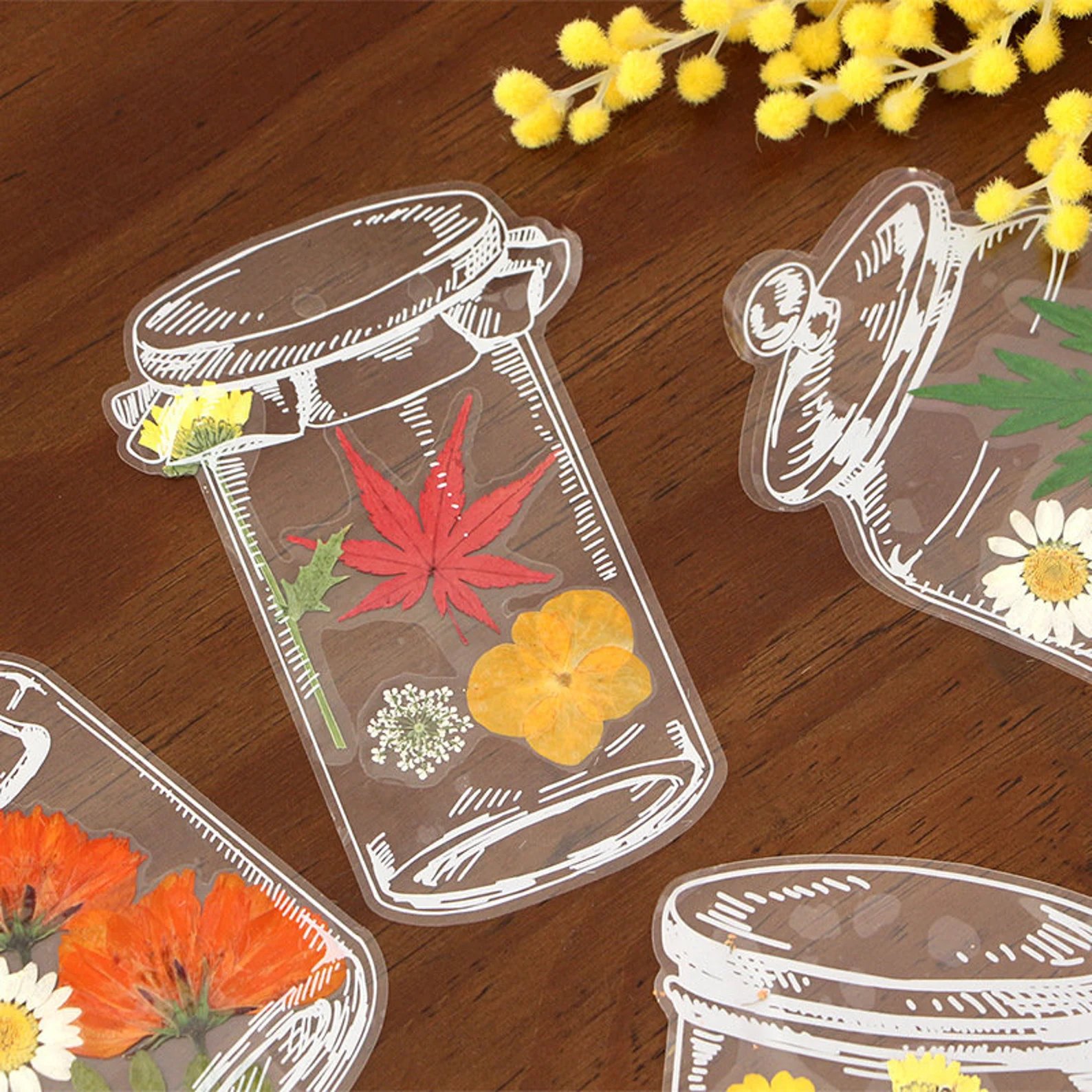 🔥Last Day Promotion 50% OFF🔥Transparent Dried Flower Bookmarks-DIY Gifts Bookmarks