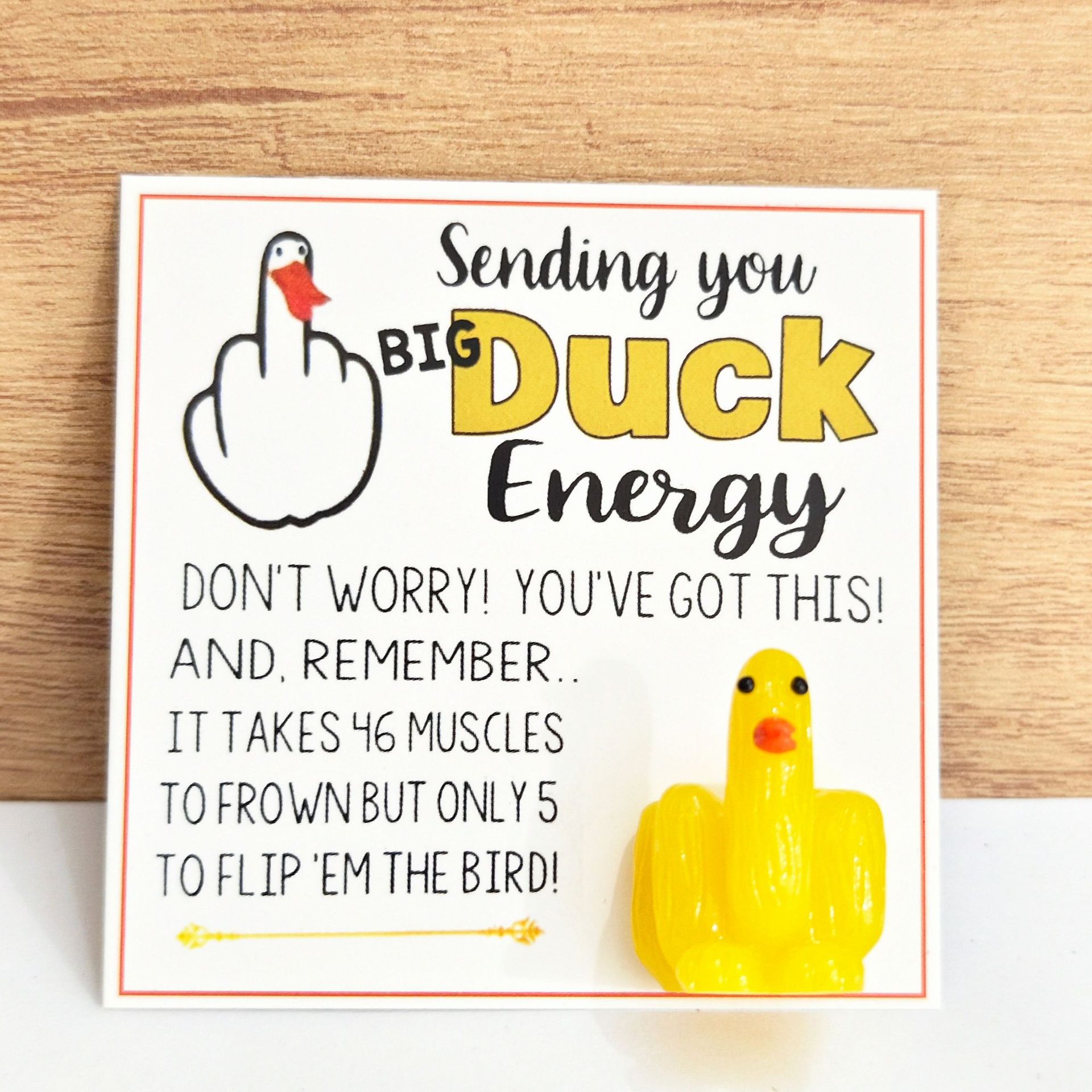 🤣Funny Middle Finger Duck Lucky Charm Gift