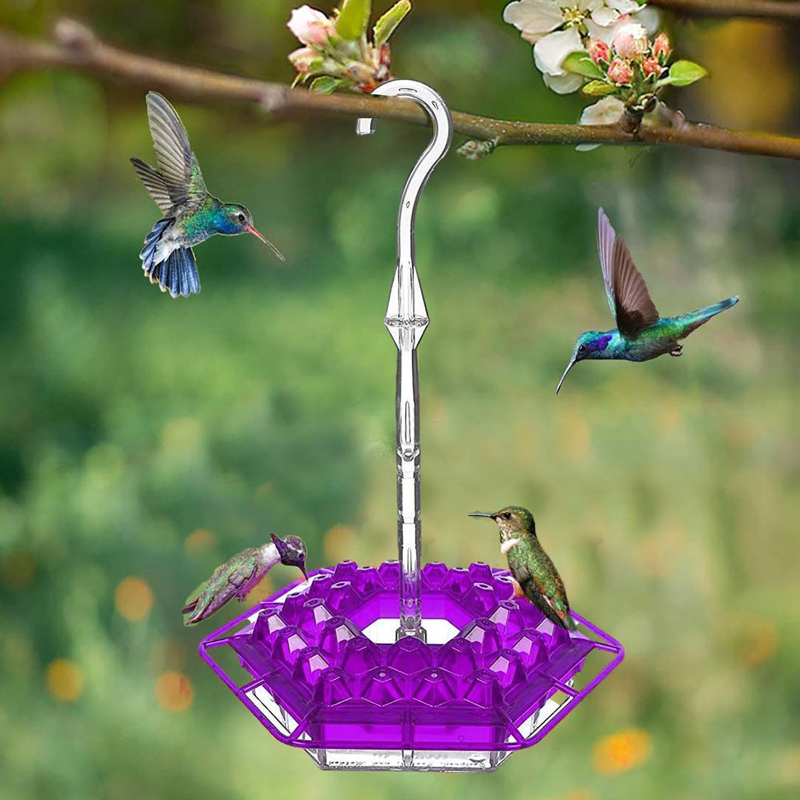 (🎄Christmas Hot Sale🦜)Hummingbird Feeder-BUY 2 FREE SHIPPING