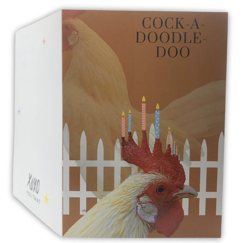 😂Hilarious Pop Up Dick Birthday Card Gift