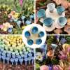 🎁TikTok Last Day Sale - 70% OFF🔥Bee Insect Drinking Cup 5-pack