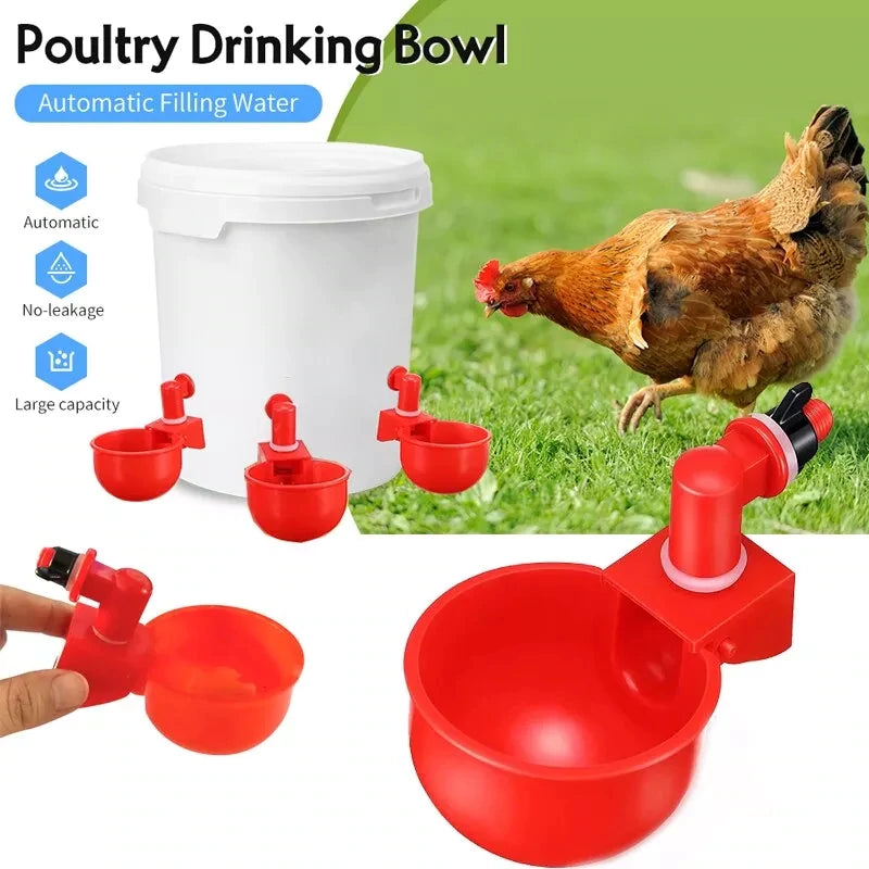 💥Last Day 50% OFF💥Automatic Chicken Water Cup Bird Coop （10 PCS $ 29.99)