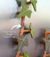 English Ivy Fridge Magnet with Articulating Vine
