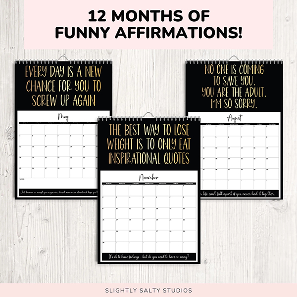 🔥Hot Sale 49% OFF - 2025 Demotivational Sarcastic Wall Calendar