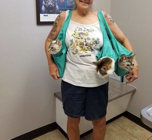 🔥Last Day Promotion 50% OFF🔥Cat Carrier Pouch⚡BUY 1 GET 1 FREE