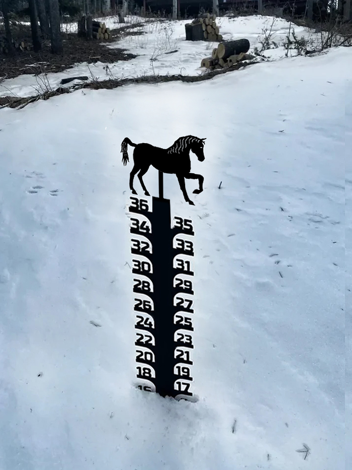 Iron Art Snow Gauge