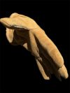 🔥Last Day: 50% Off! 🔥 Leather Work Gloves for Ranch & Chores