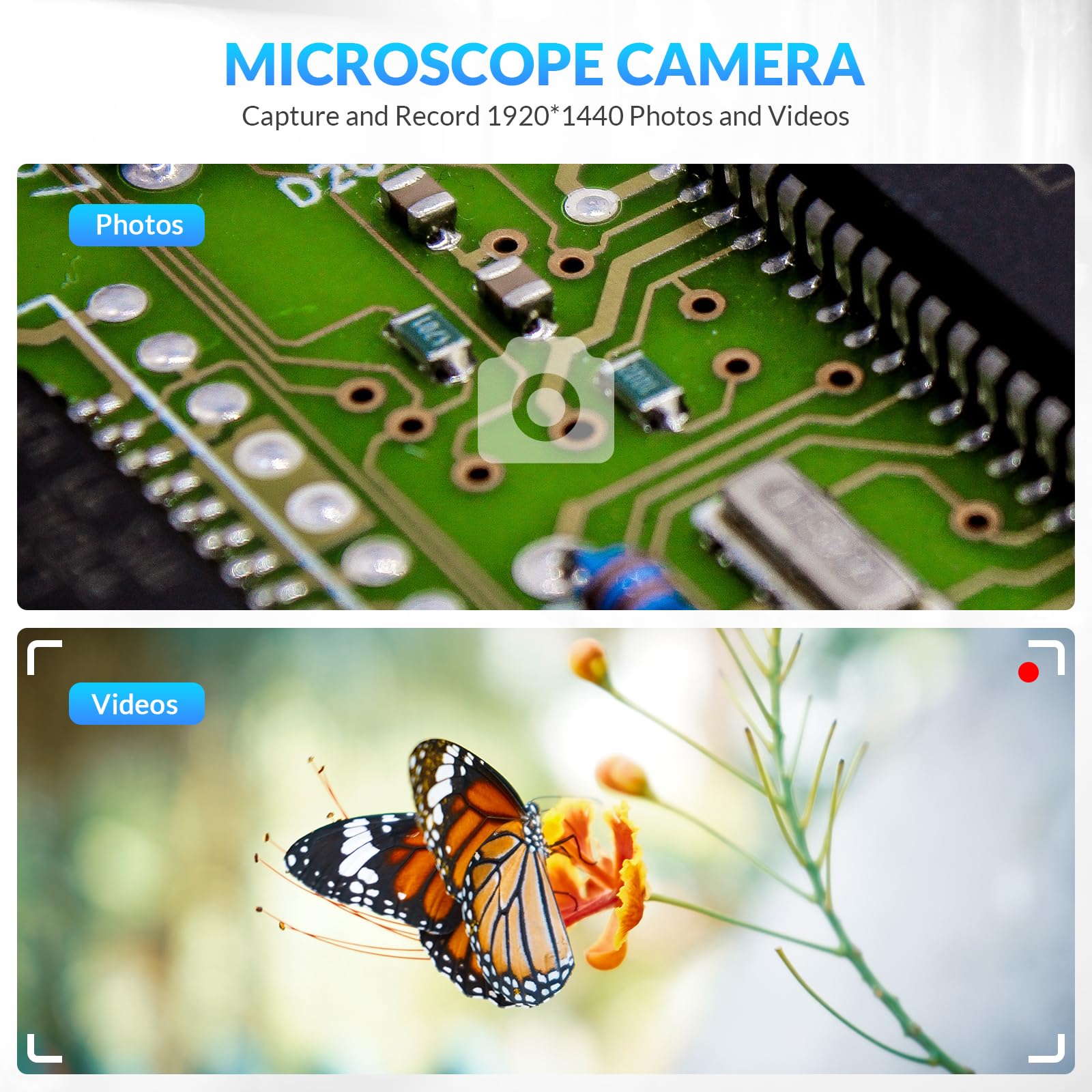 🔥Last Day Promotion 70% OFF🔥Handheld Digital Microscope