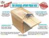 (Last Day Promotion - 50% OFF) Super Funny Crazy Prank Gift Box Spider, Buy 3 Get 3 Free & Free Shipping🔥