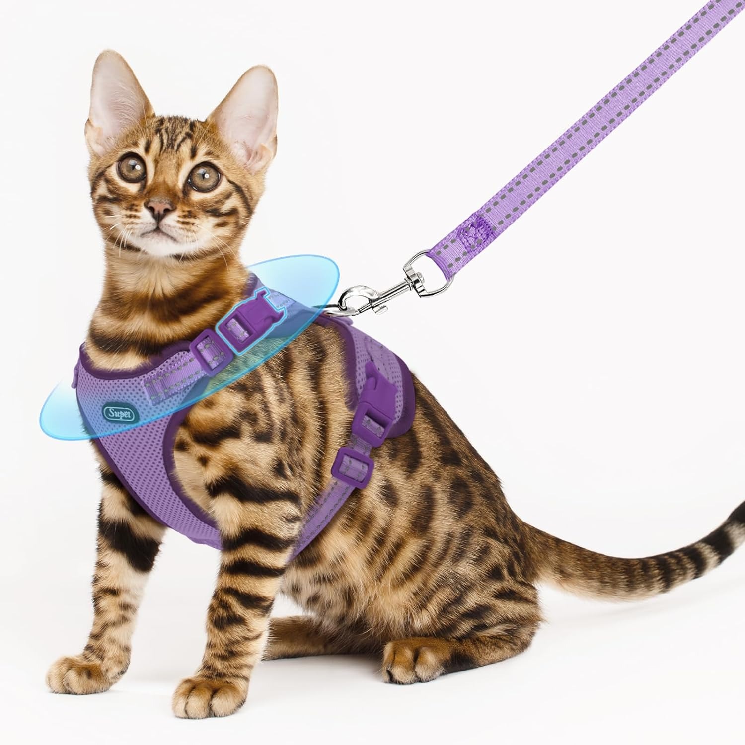 Cat Harness & Leash